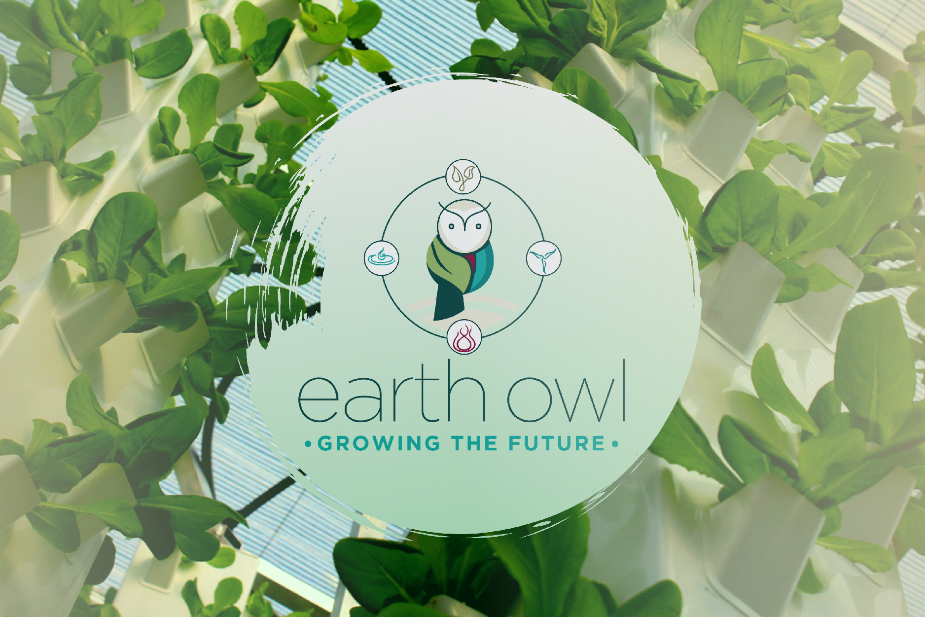earth owl banner
